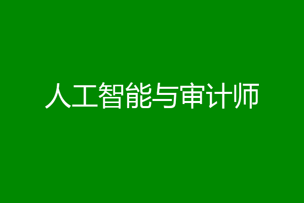 人工智能与审计师