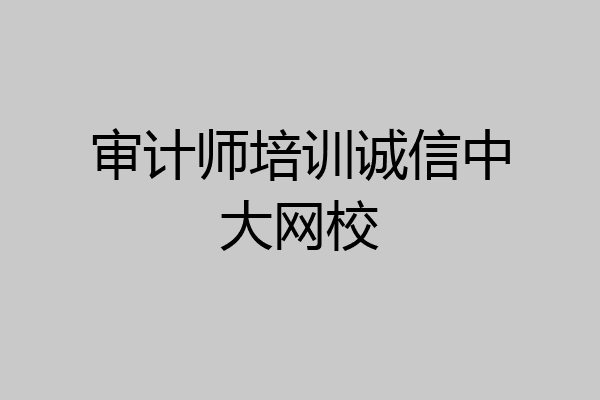 审计师培训诚信中大网校
