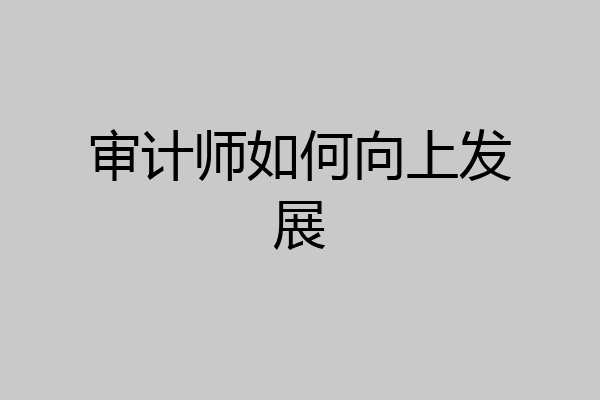审计师如何向上发展