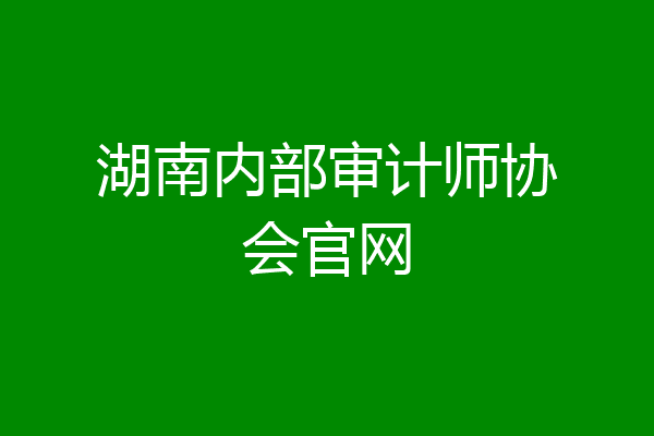 湖南内部审计师协会官网