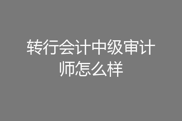 转行会计中级审计师怎么样