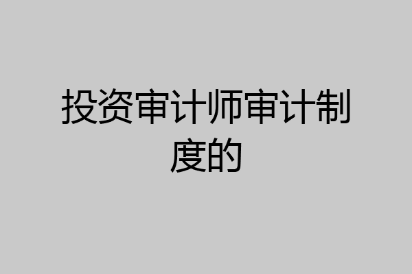 投资审计师审计制度的