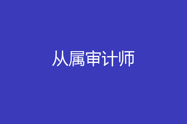 从属审计师