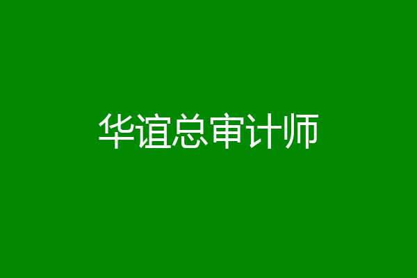 华谊总审计师