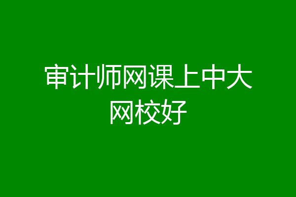 审计师网课上中大网校好