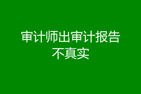 审计师出审计报告不真实