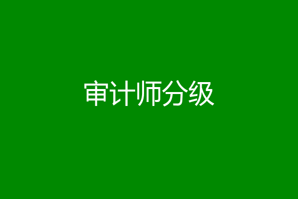 审计师分级