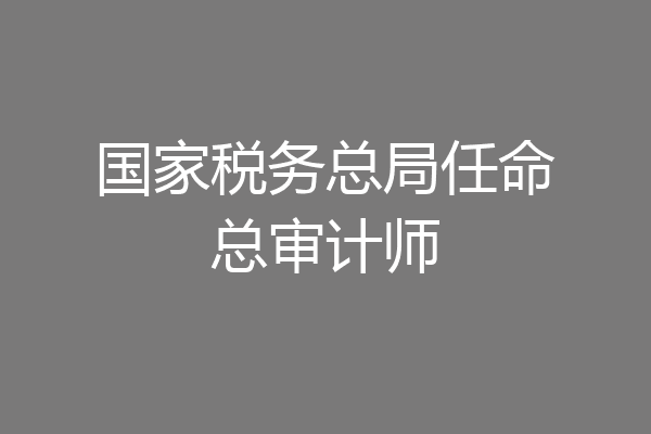 国家税务总局任命总审计师