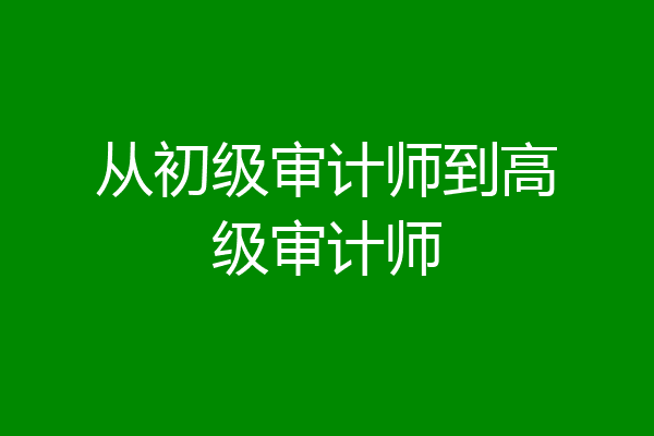 从初级审计师到高级审计师