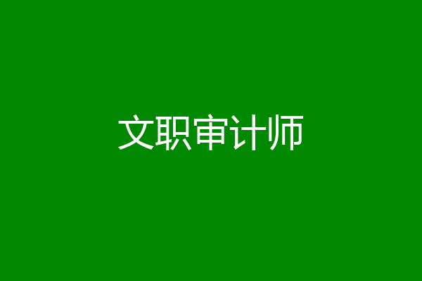 文职审计师