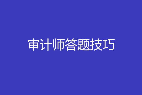 审计师答题技巧