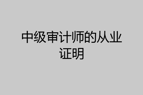 中级审计师的从业证明