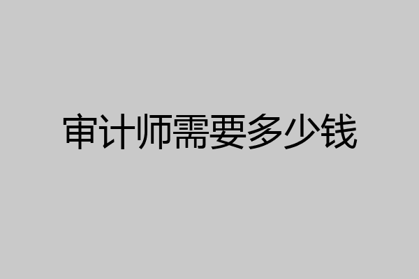 审计师需要多少钱