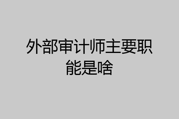 外部审计师主要职能是啥