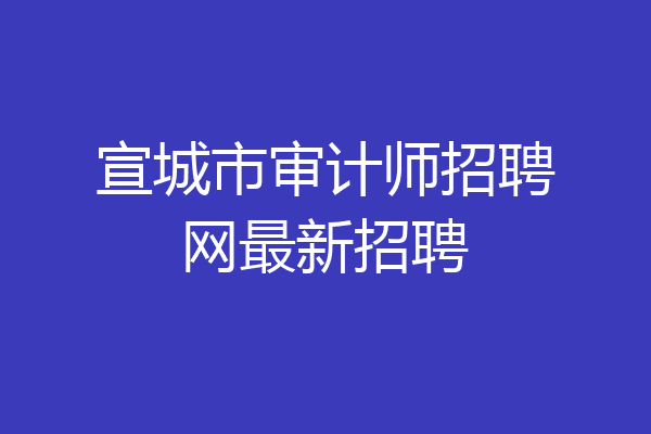 宣城市审计师招聘网最新招聘