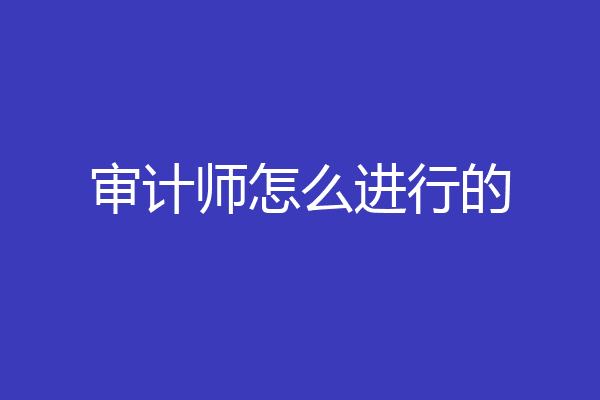 审计师怎么进行的