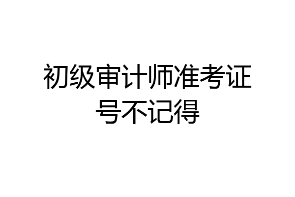 初级审计师准考证号不记得