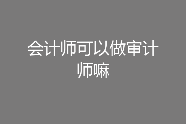 会计师可以做审计师嘛