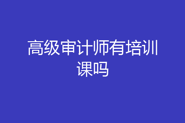 高级审计师有培训课吗
