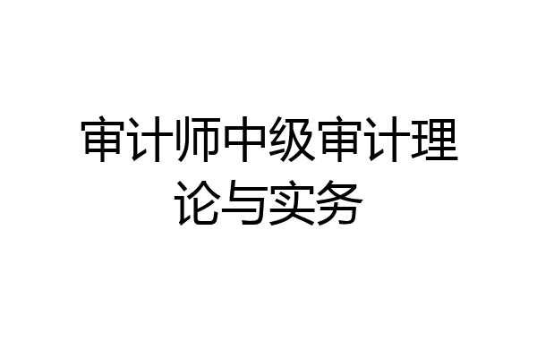 审计师中级审计理论与实务