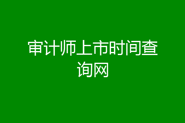 审计师上市时间查询网