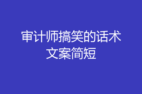 审计师搞笑的话术文案简短