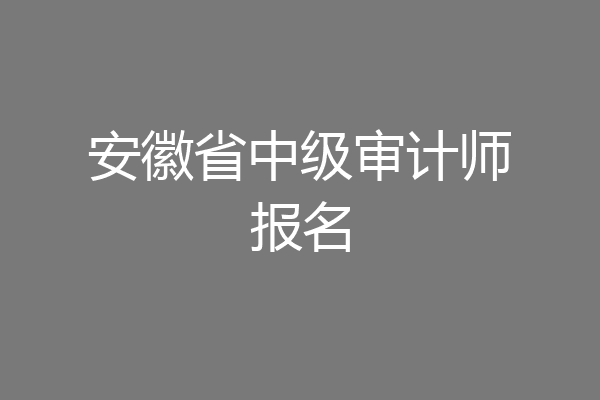 安徽省中级审计师报名