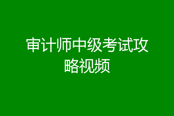 审计师中级考试攻略视频