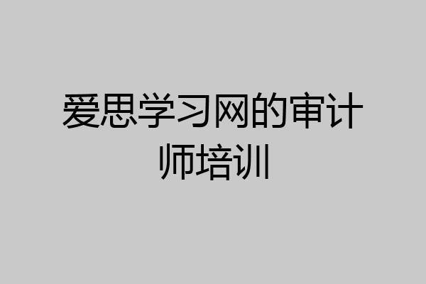 爱思学习网的审计师培训