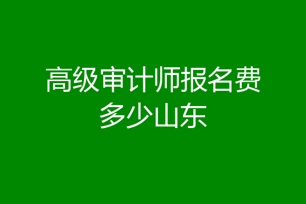 高级审计师报名费多少山东