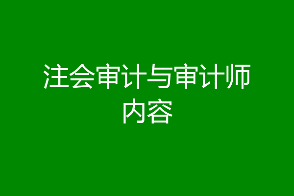 注会审计与审计师内容