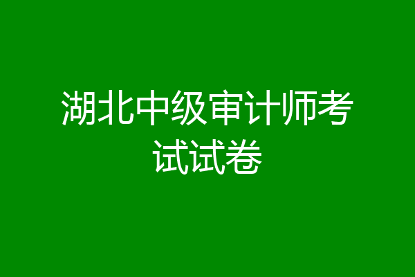 湖北中级审计师考试试卷