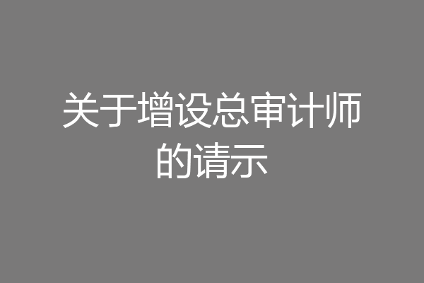 关于增设总审计师的请示