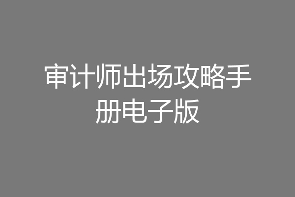 审计师出场攻略手册电子版