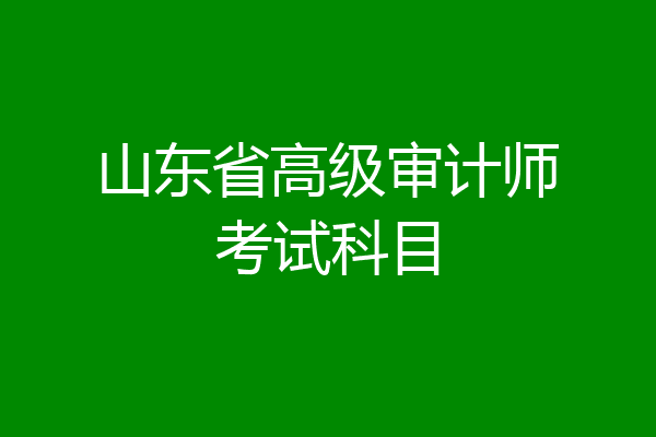 山东省高级审计师考试科目