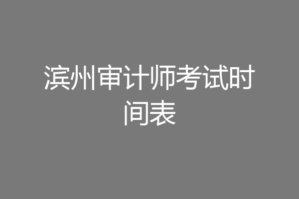 滨州审计师考试时间表