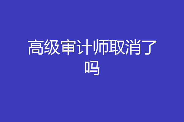 高级审计师取消了吗