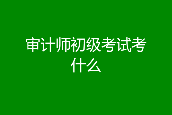 审计师初级考试考什么