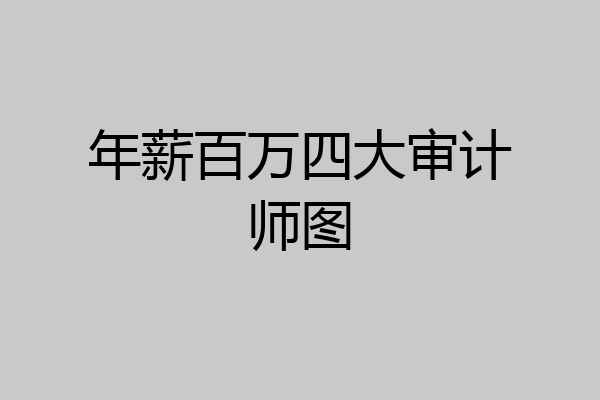 年薪百万四大审计师图