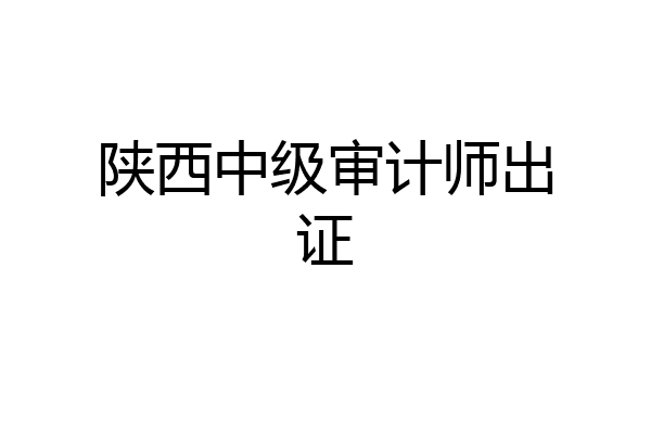 陕西中级审计师出证