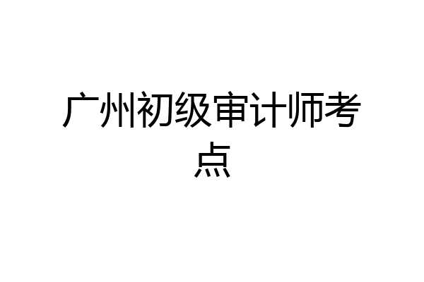 广州初级审计师考点