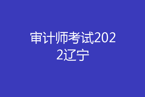 审计师考试2022辽宁