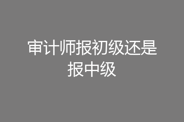 审计师报初级还是报中级