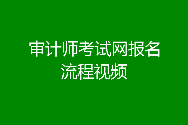 审计师考试网报名流程视频