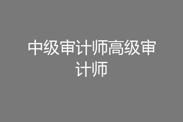 中级审计师高级审计师