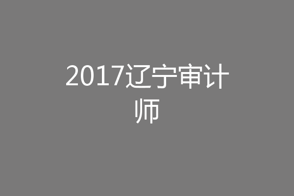 2017辽宁审计师
