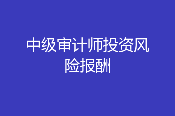 中级审计师投资风险报酬