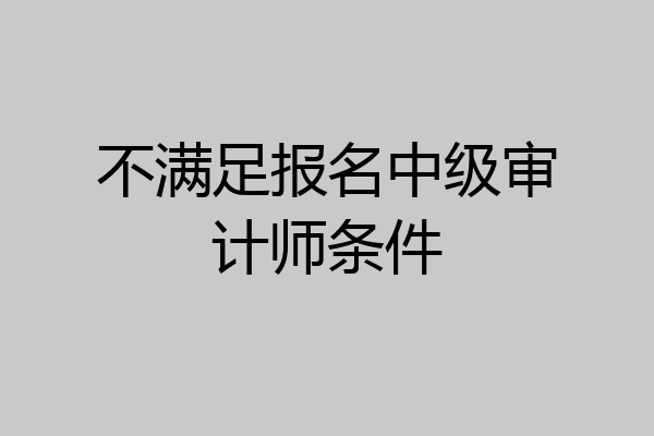 不满足报名中级审计师条件