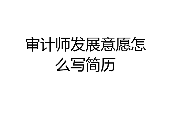 审计师发展意愿怎么写简历