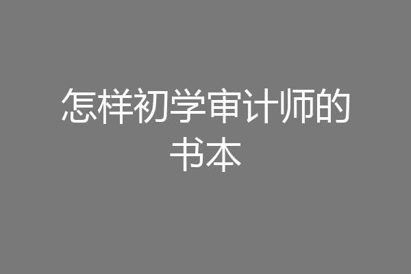怎样初学审计师的书本